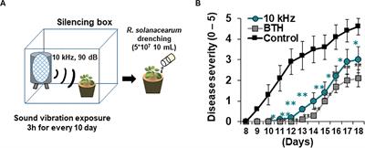 Sound Vibration-Triggered Epigenetic Modulation Induces Plant Root Immunity Against Ralstonia solanacearum